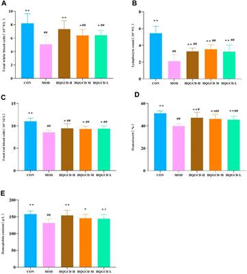 Effects of Huangqi Gancao Decoction on intestinal immunity and microbiota in immunocompromised mice models